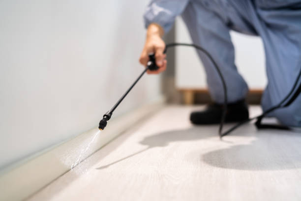 Licensed Pest Control service in Manistique, MI - Show Me Pest Control