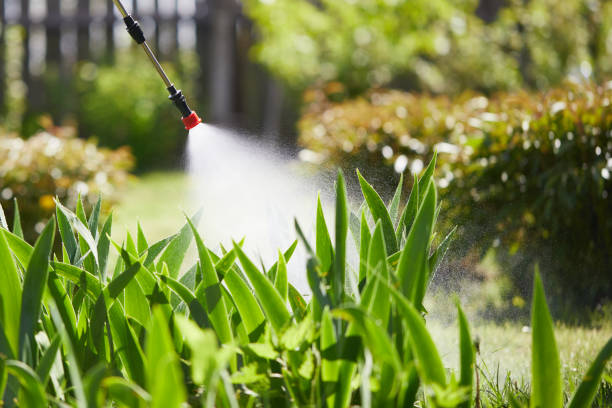 24/7 Emergency Ant Control experts in Manistique, MI
